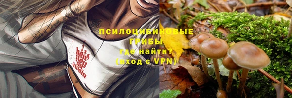 твердый Медногорск