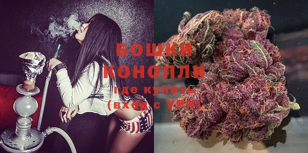 прущие грибы Медвежьегорск